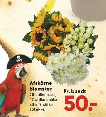 Bilka Afskårne blomster tilbud
