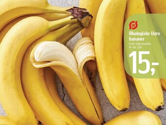 Føtex Økologiske uuru bananer tilbud