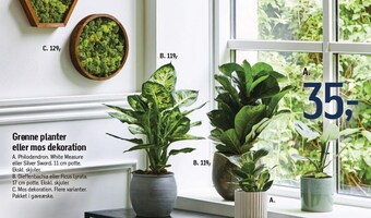 Føtex Grønne planter eller mos dekoration tilbud