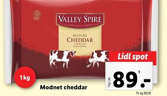 Lidl Modnet cheddar tilbud