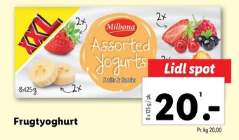 Lidl Frugtyoghurt tilbud