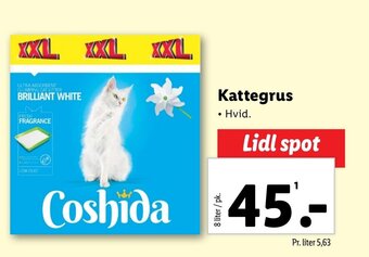 Lidl Kattegrus tilbud