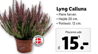Lidl Lyng Calluna tilbud