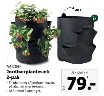 Lidl PARKSIDEⓇ Jordbærplantesæk 2-pak tilbud