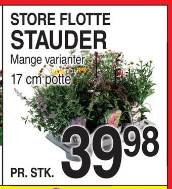 ABC Lavpris Stauder tilbud