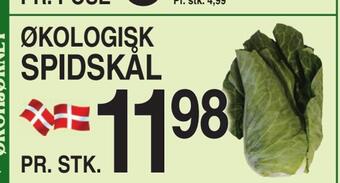 ABC Lavpris Spidskål tilbud