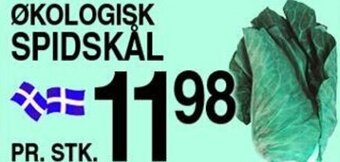 ABC Lavpris ØKOLOGISK SPIDSKÅL tilbud
