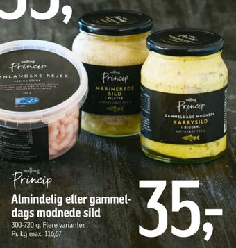 Føtex Salling princip sild tilbud