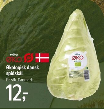 Føtex Salling øko spidskål tilbud