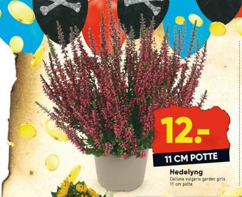Bilka Ukendt planter tilbud