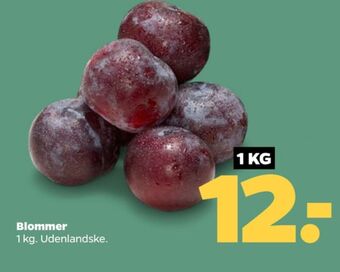 Netto Ukendt blommer tilbud