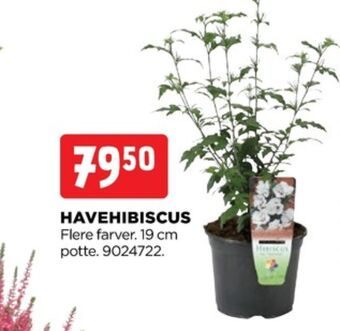 jem & fix Ukendt planter tilbud
