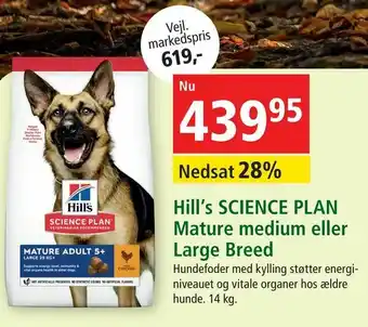 Hill's SCIENCE PLAN Mature medium eller Large Breed