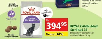 Maxi Zoo ROYAL CANIN Adult Sterilised 37 tilbud