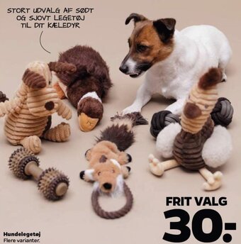 Netto Hundelegetøj Flere varianter. tilbud