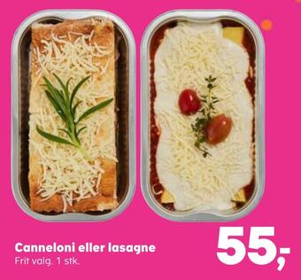 Canneloni eller lasagne