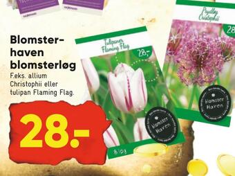 Bilka Blomsterhaven blomsterløg tilbud