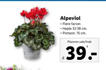 Lidl Alpeviol tilbud