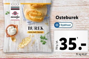 Osteburek