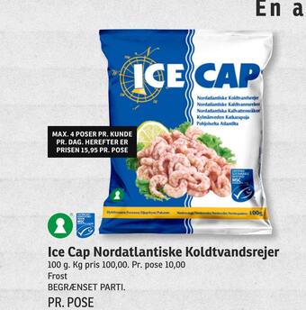 Ice cap nordatlantiske koldtvandsrejer