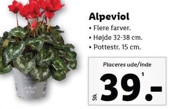 Lidl Alpeviol tilbud