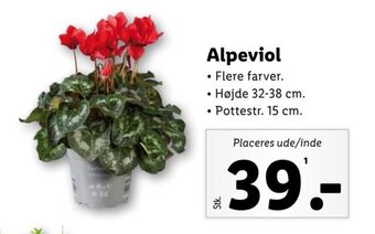 Lidl Alpeviol tilbud