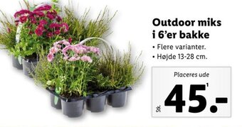 Outdoor miks i 6'er bakke