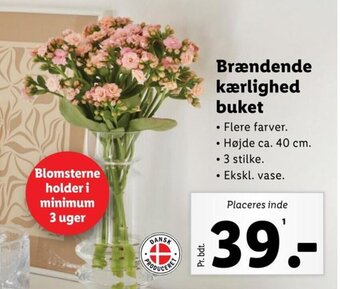 Lidl Brændende kærlighed buket tilbud