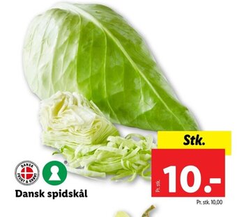 Lidl Dansk spidskål tilbud