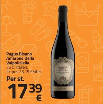 Fleggaard Pagus Bisano Amarone Della Valpoliciella 75 cl tilbud