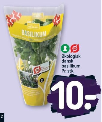 REMA 1000 Økologisk dansk basilikum Pr. stk. tilbud