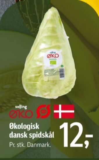 Føtex Salling øko spidskål tilbud
