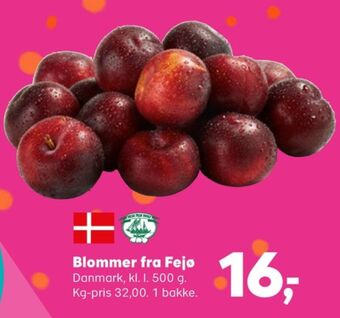 Kvickly Fejø dansk kernefrugt blommer tilbud