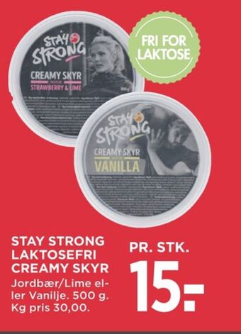 Stay strong skyr vanilje