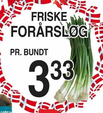 Forårsløg