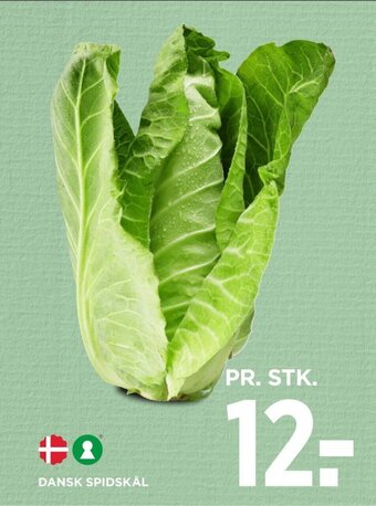 MENY DANSK SPIDSKÅL tilbud