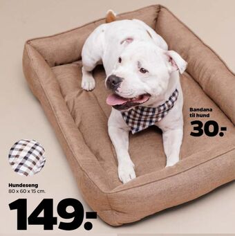 Ukendt hundesenge