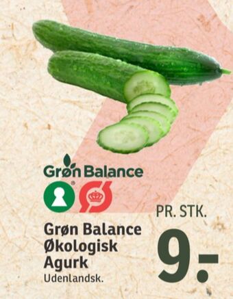SPAR Grøn balance agurk tilbud