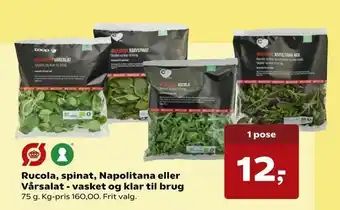 Kvickly Rucola, spinat, Napolitana eller Vårsalat - vasket og klar til brug tilbud