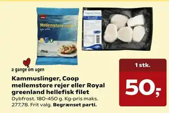 Kvickly Kammuslinger, Coop mellemstore rejer eller Royal greenland hellefisk filet tilbud