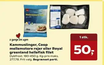 SuperBrugsen Kammuslinger, Coop mellemstore rejer eller Royal greenland hellefisk filet tilbud