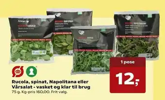 Rucola, spinat, Napolitana eller Vårsalat - vasket og klar til brug