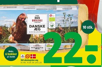 365 økologiske æg Str. M/L.