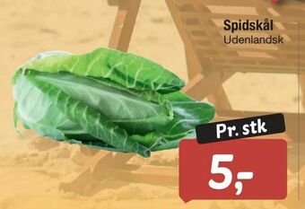 Spidskål