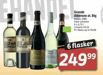 Fakta Tyskland Grande Alberone el. Big tilbud