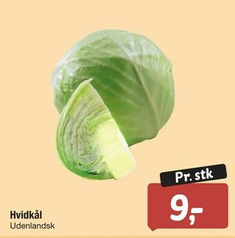 Hvidkål