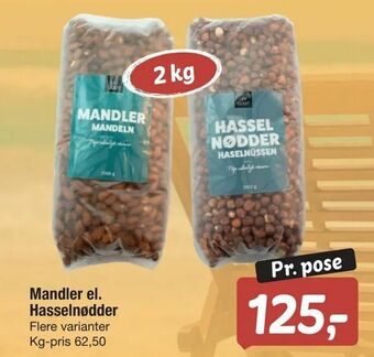 Mandler el. Hasselnødder