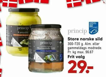 Store norske sild