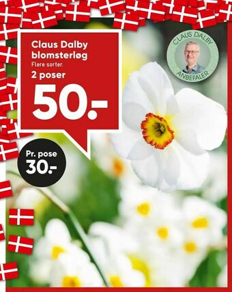Bilka Claus Dalby blomsterløg tilbud