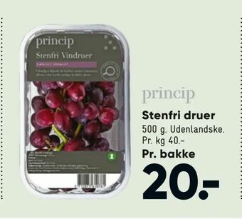 Bilka Stenfri druer tilbud